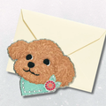 Mini Card – Toy Poodle